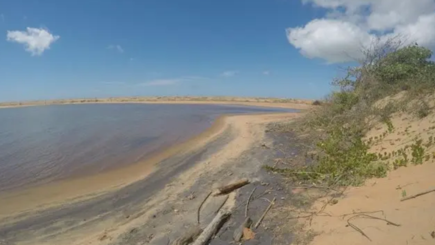 Alto indice de metais pesados em alimentos cultivados no delta do Rio Doce.