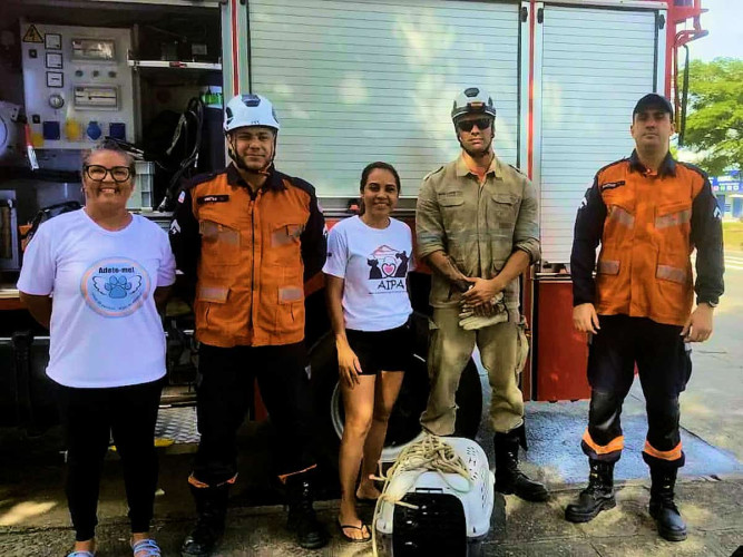 Cadela cai em bueiro e resgate mobiliza voluntários e bombeiros em Linhares