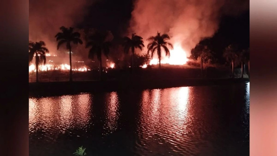 Incêndio atinge vegetação às margens da Linha Verde em Linhares