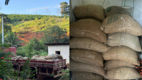 Polícia recupera 40 sacas de café furtadas no interior de Linhares